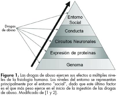 Algunos factores psicológicos / www.scielo.org.mx