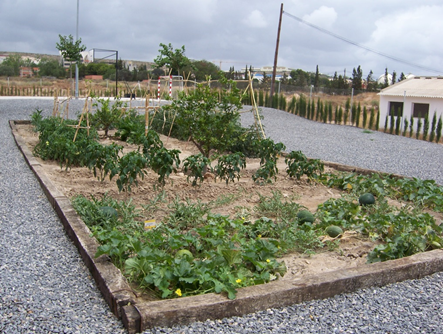 Sector de Huertos y Jardines (Proyecto Hombre Alicante)