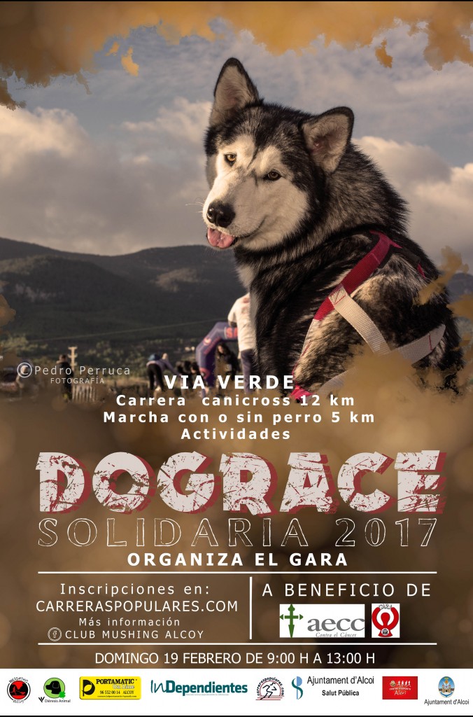 DogRace