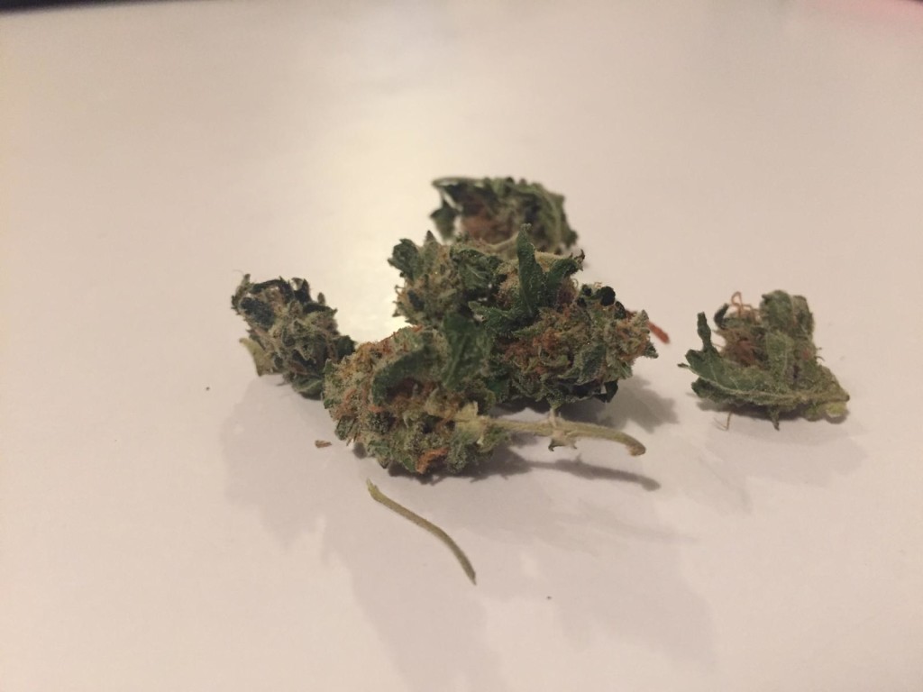 Cannabis_cogolo