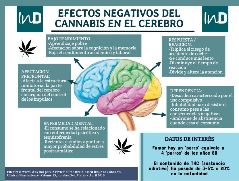 efectos_cannabis_cerebro
