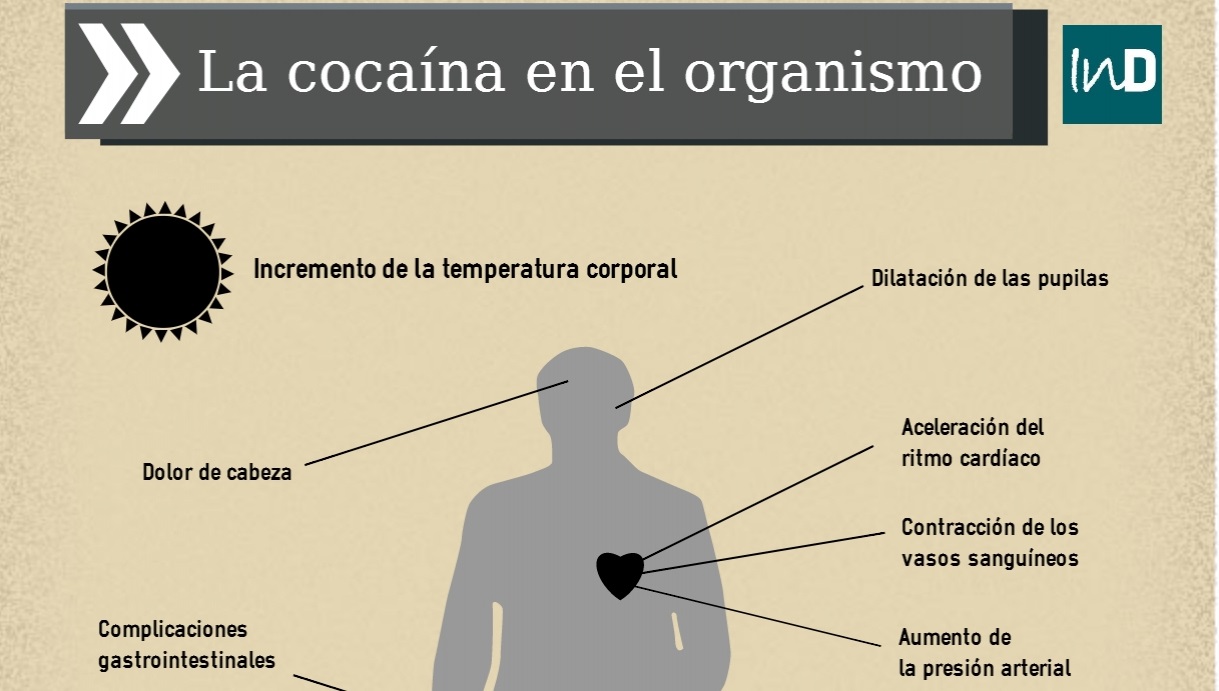 Los Efectos De La Cocaína Sobre El Organismo Cabecera Revista Independientes 7934