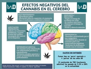 Efectos_cannabis_cerebro - Revista InDependientes