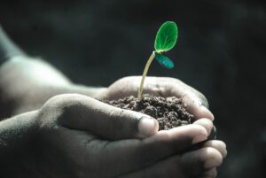 una mano en la que está creciendo una planta